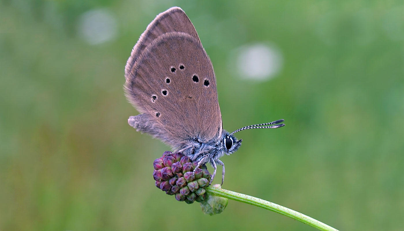 Bewohner mit besonderen Ansprüchen Bewohner mit besonderen Ansprüchen