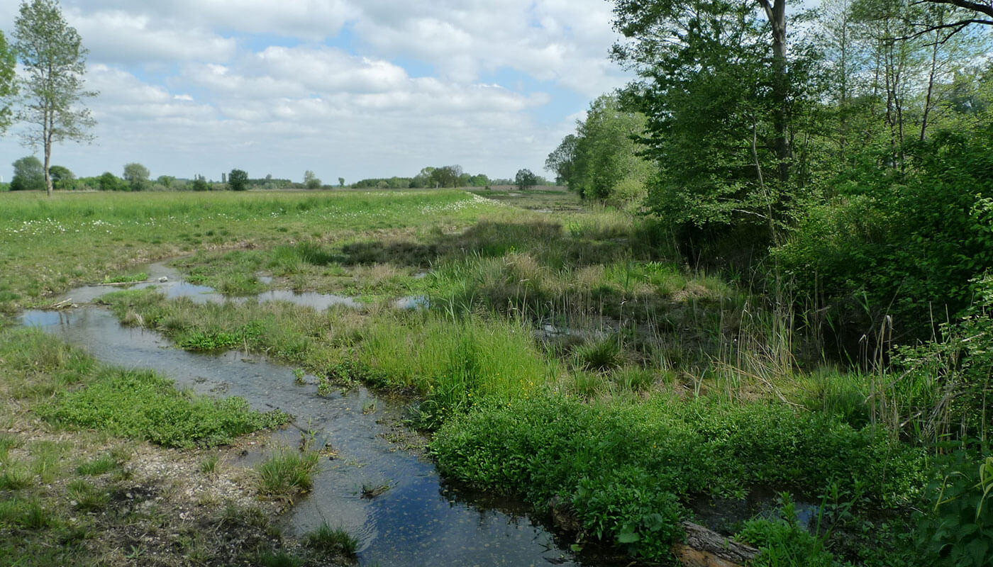 Umweltschutz in der Flughafenregion Umweltschutz in der Flughafenregion