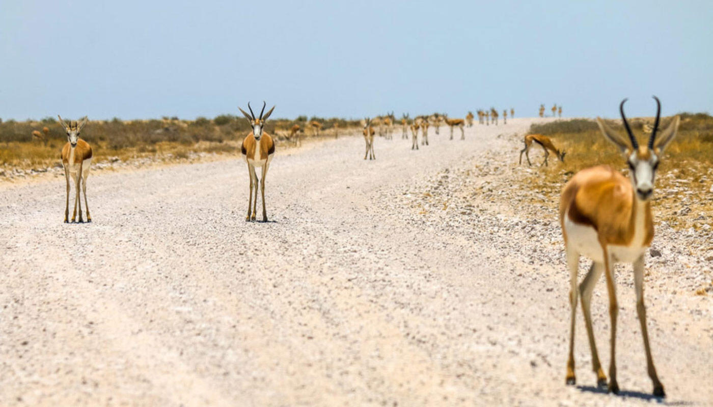 Nationalpark in Namibia Nationalpark in Namibia