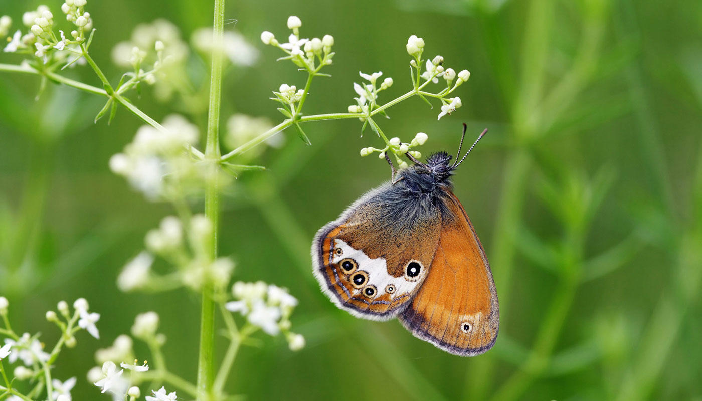 Bildmaterial zum Download Bildmaterial zum Download