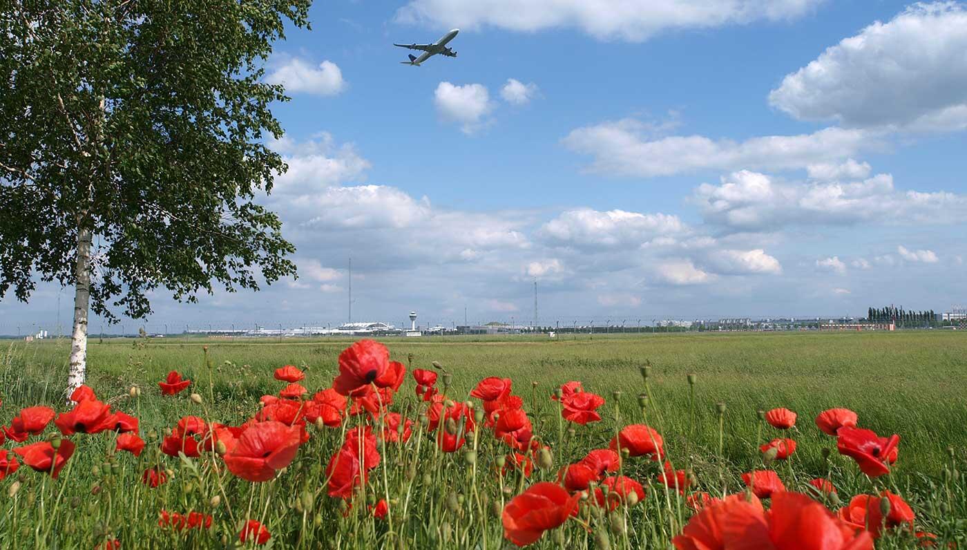 Sustainable Aviation Sustainable Aviation
