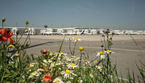 Sustainability is becoming increasingly important to airports