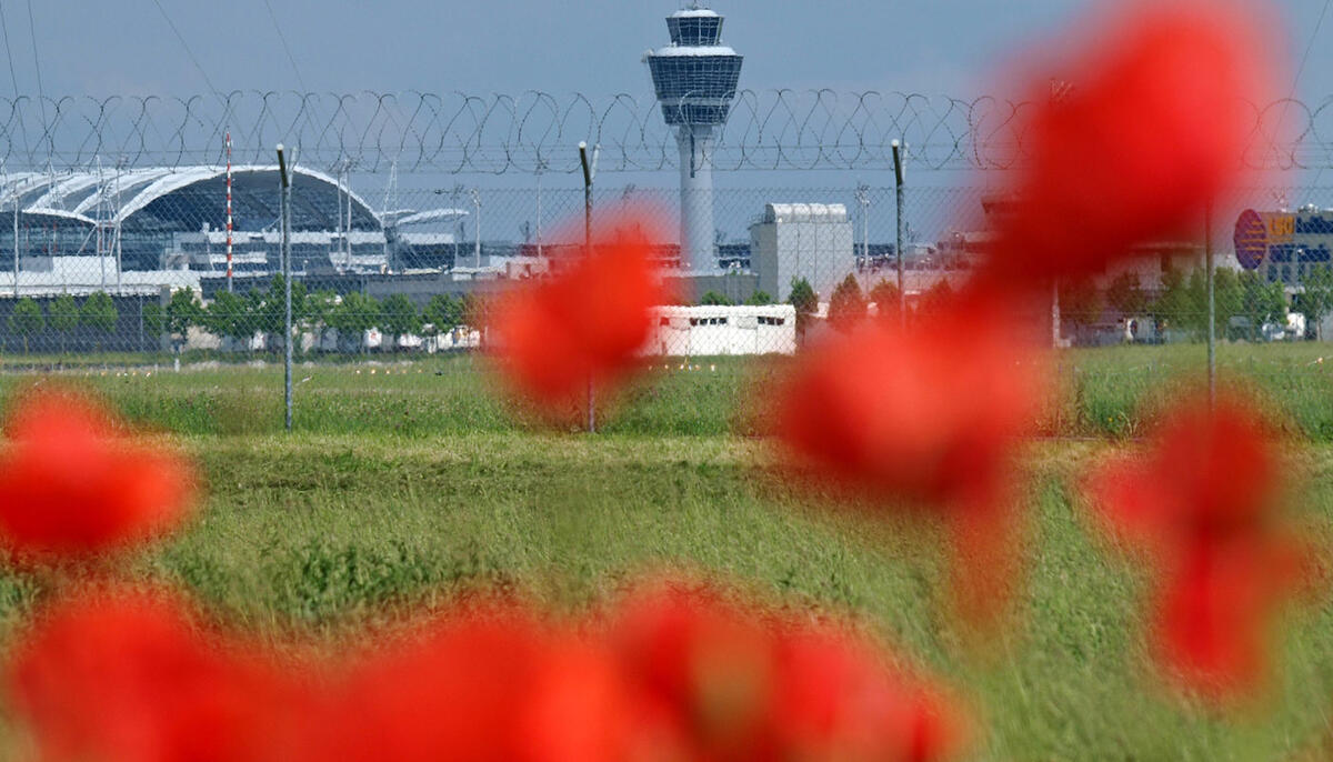 Flughafen Tower mit Blumen roter Mohn vor Flughafen Tower